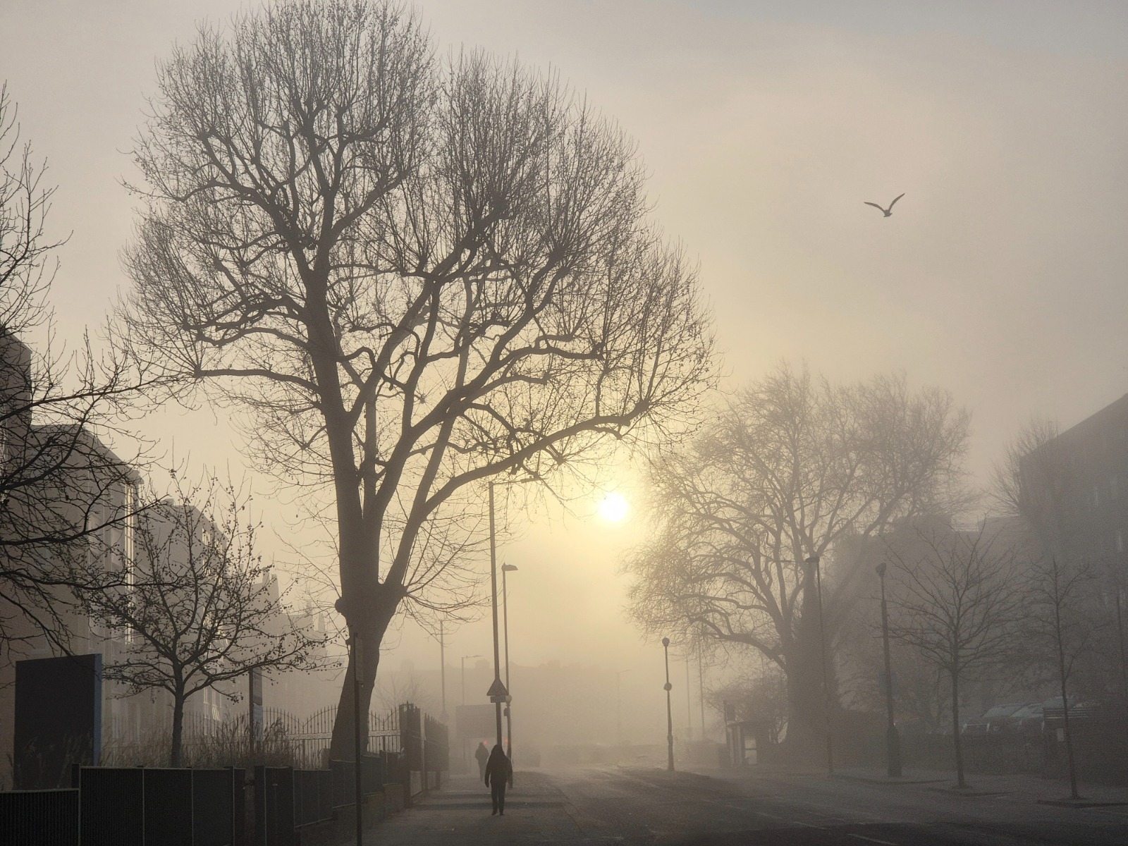 Foggy Morning Street