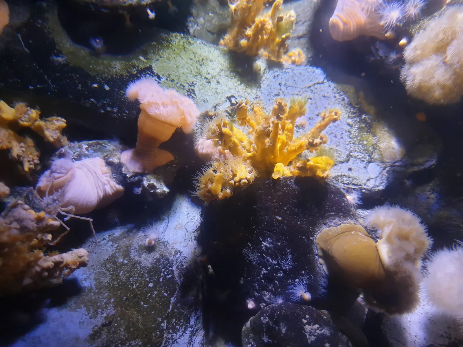 Aquarium Gallery Image 8