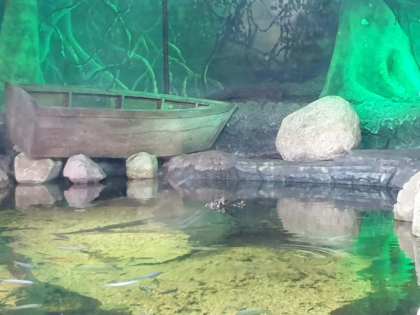 Aquarium Gallery Image 16