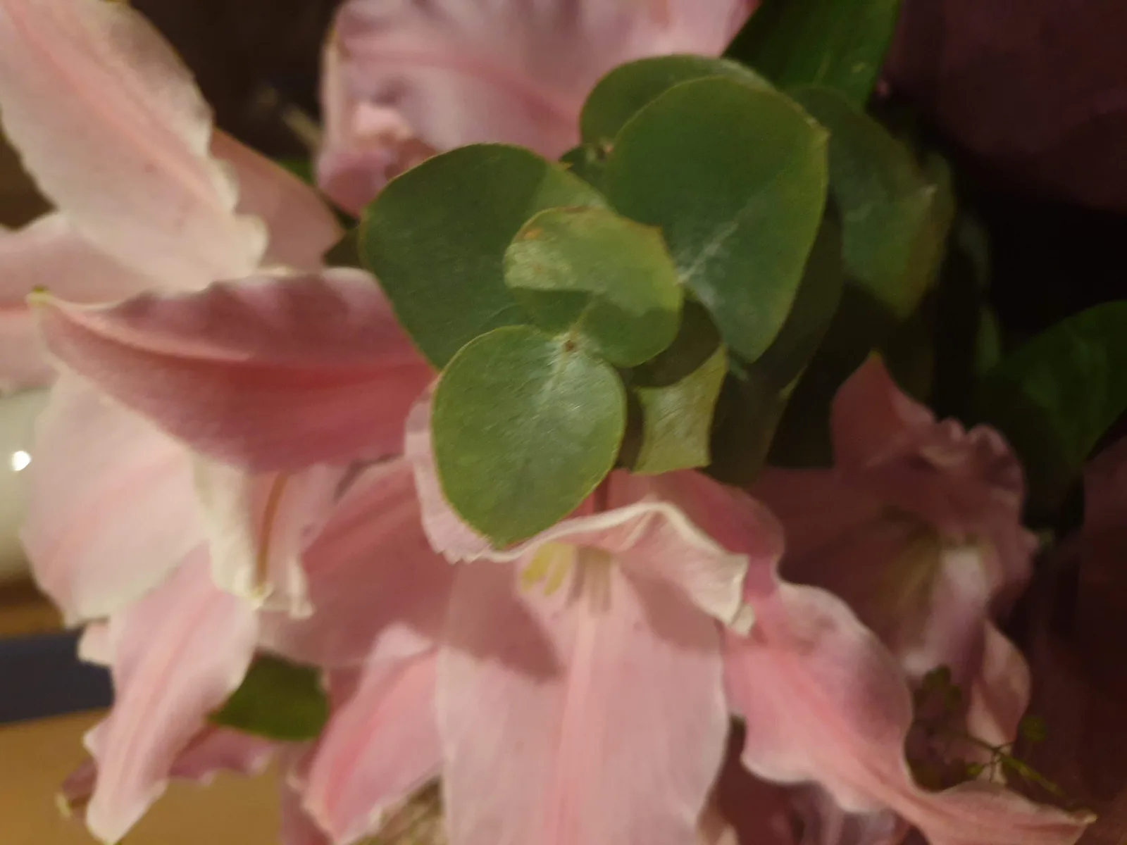 Flowers Gallery Image 4