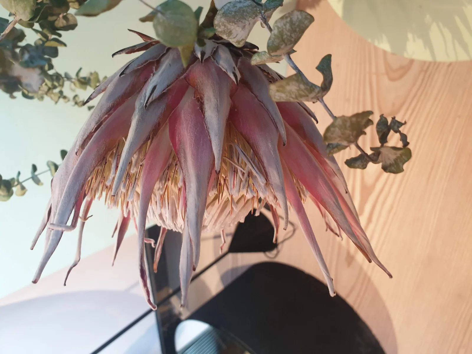 Flowers Gallery Image 5