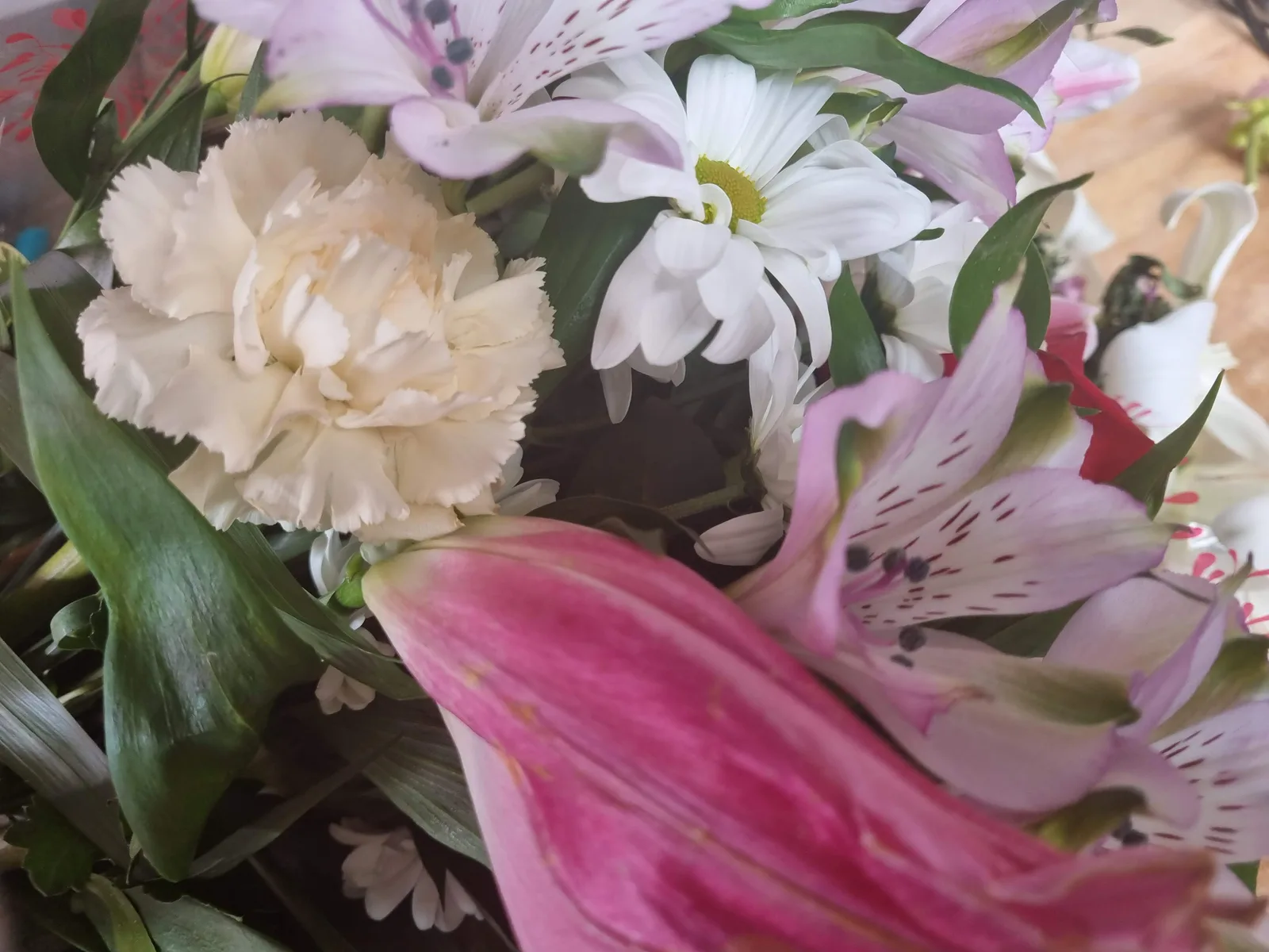 Flowers Gallery Image 6