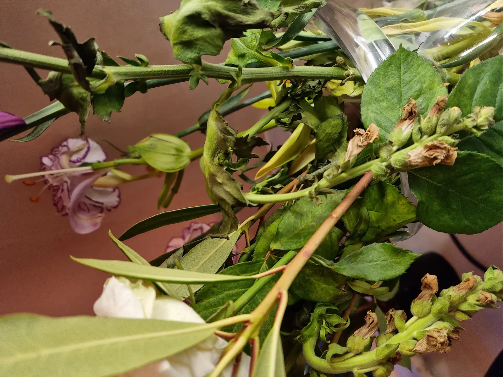 Flowers Gallery Image 8