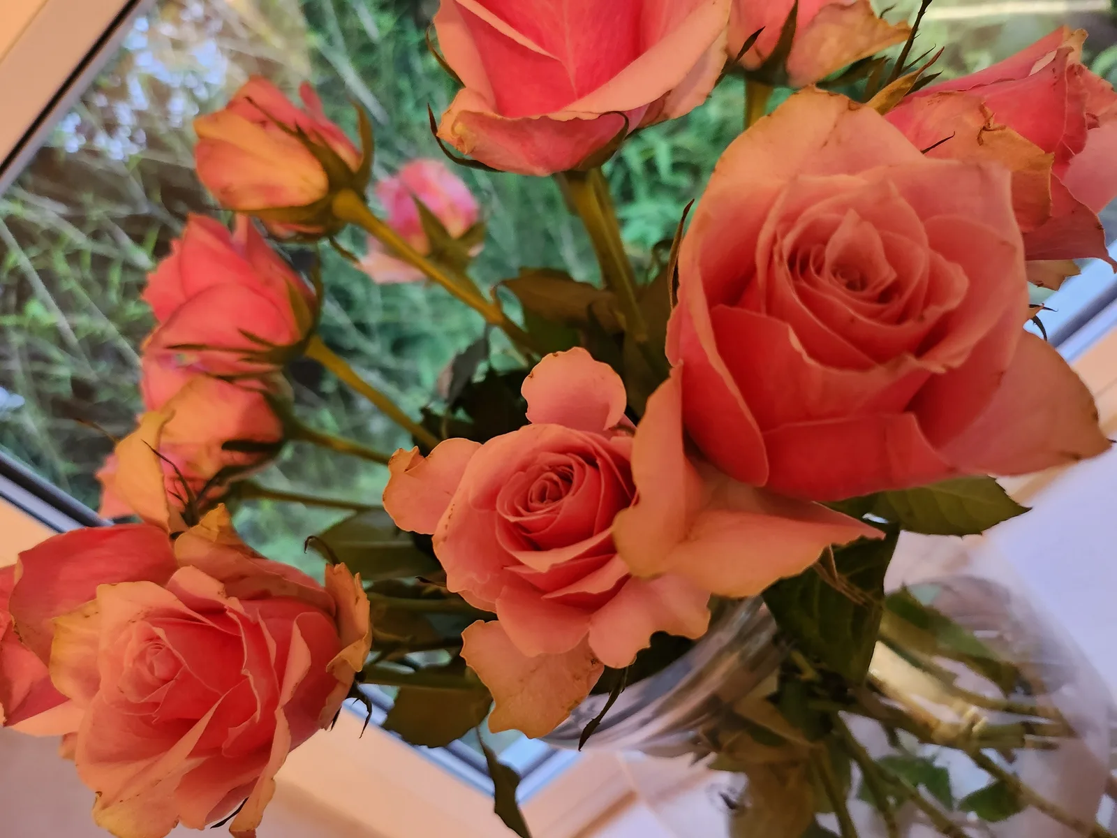 Flowers Gallery Image 11