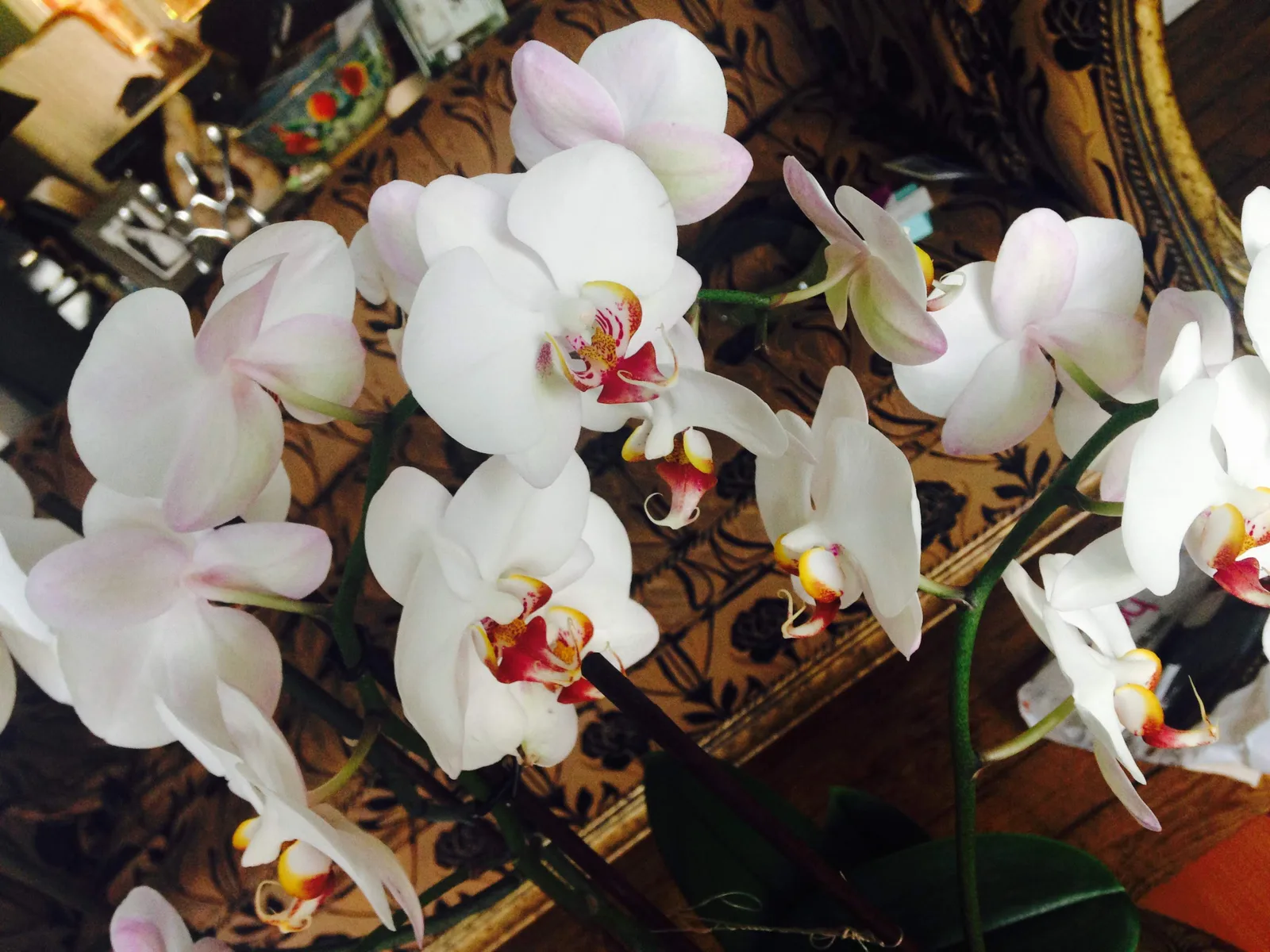 Flowers Gallery Image 21
