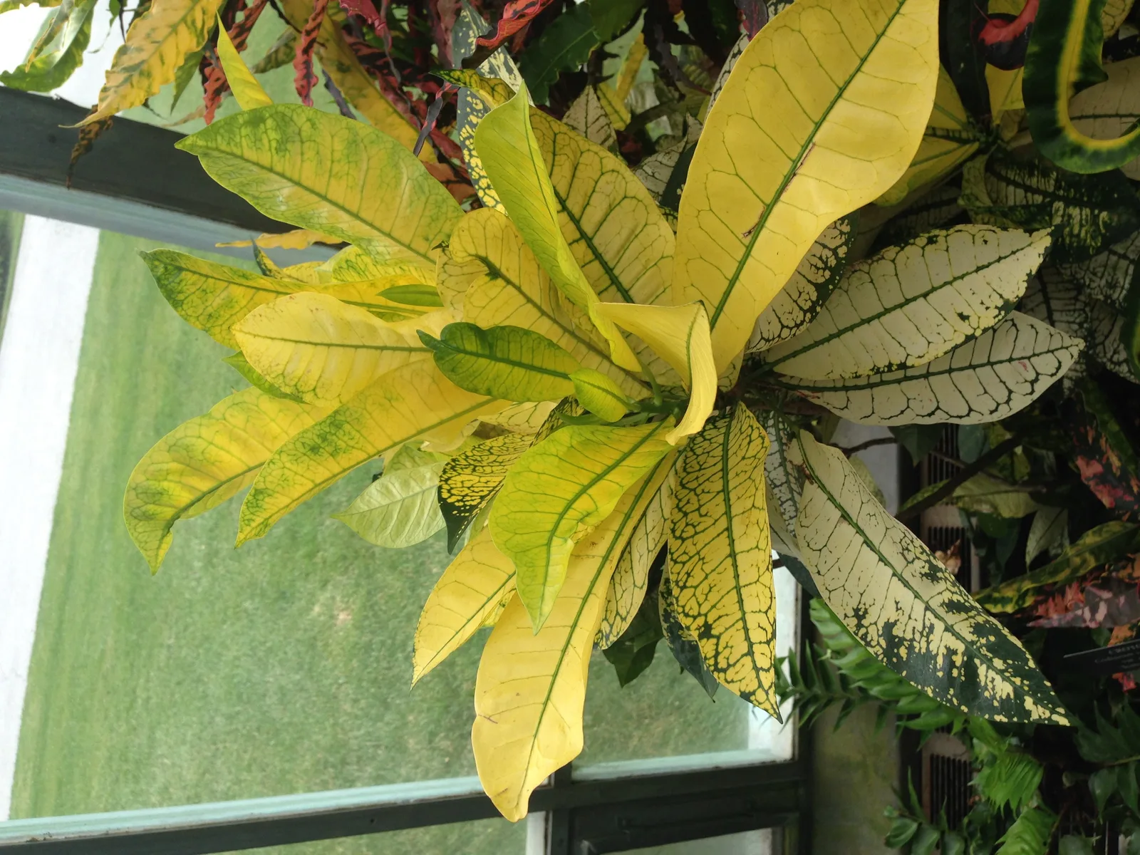 Flowers Gallery Image 22