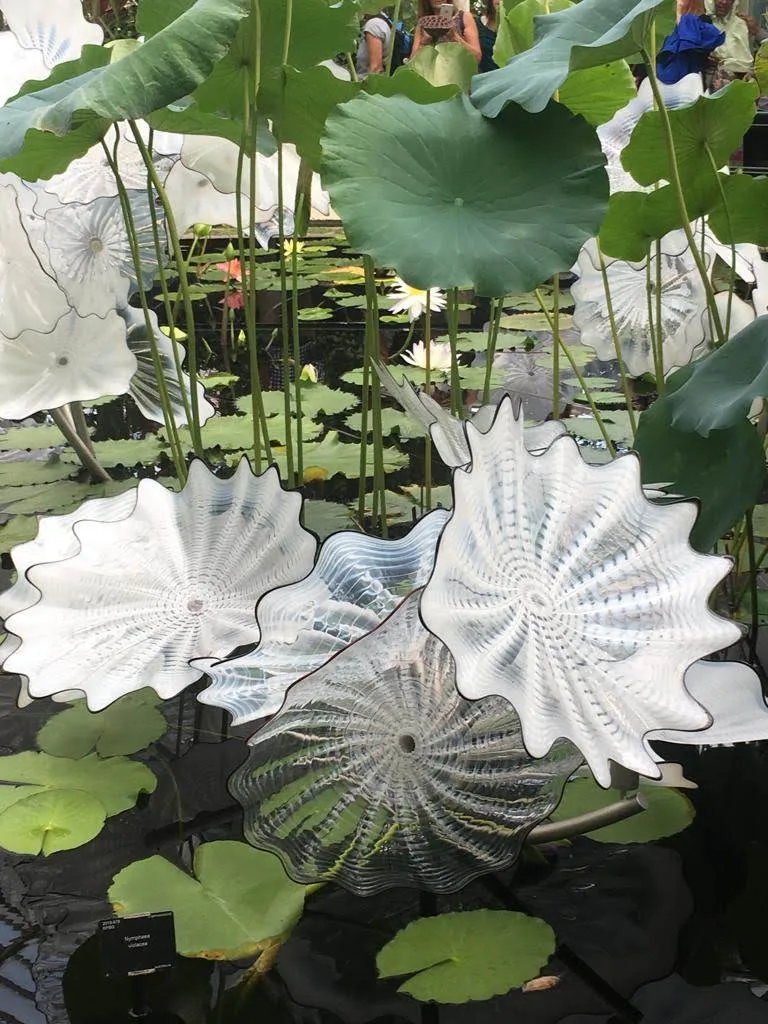 Flowers Gallery Image 29