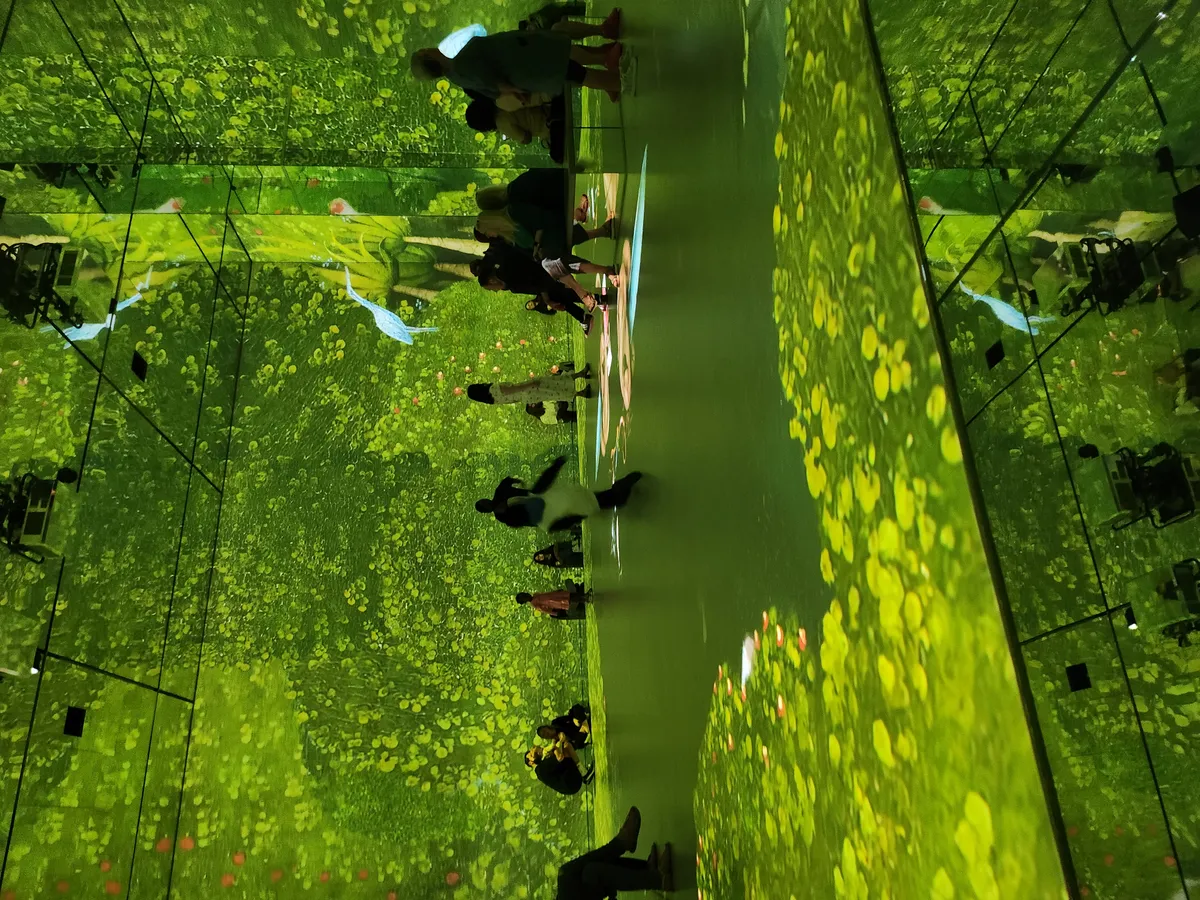 Frameless Gallery Image 20