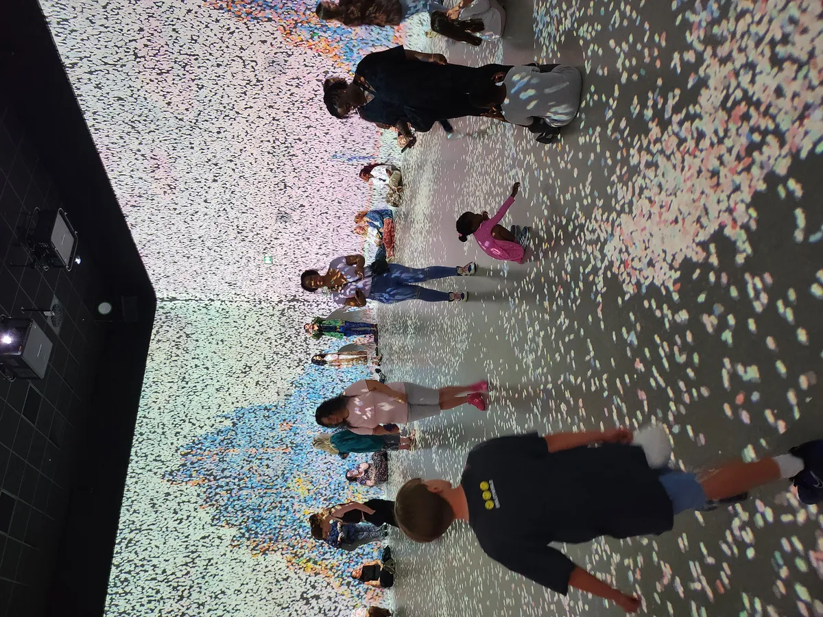 Frameless Gallery Image 34