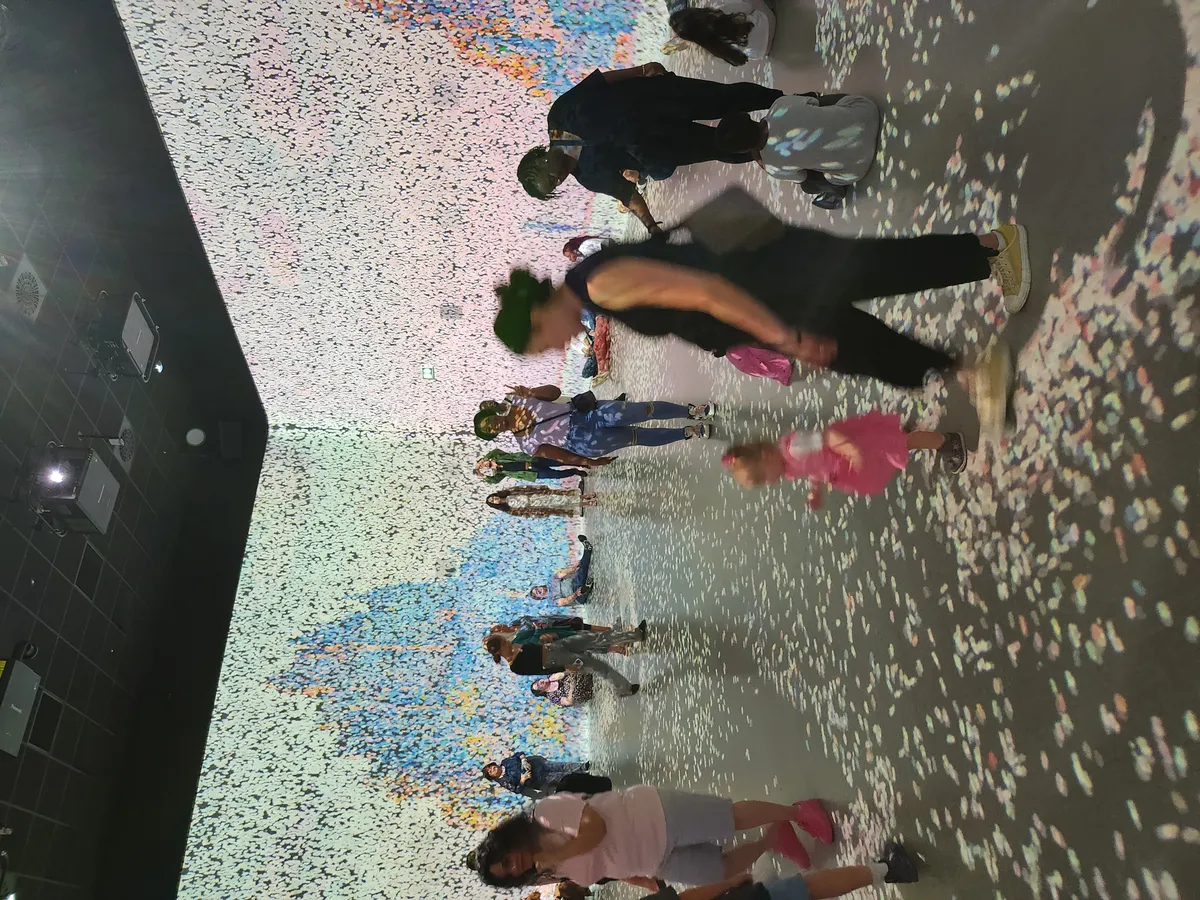 Frameless Gallery Image 35