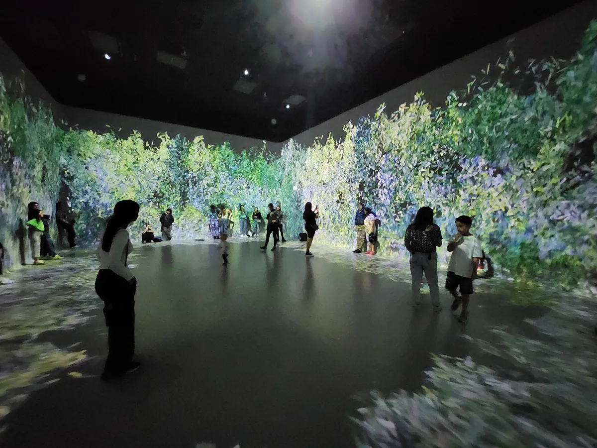Frameless Gallery Image 43