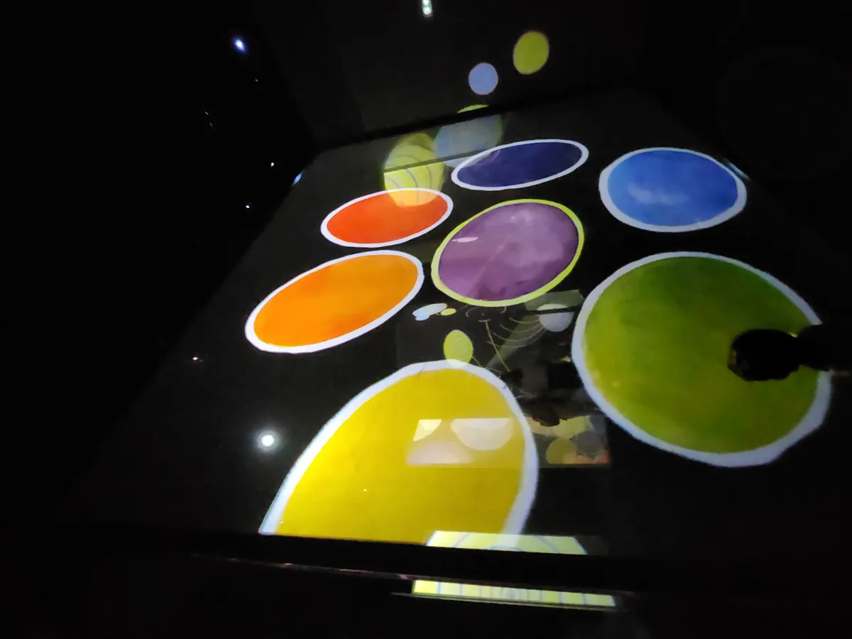 Frameless Gallery Image 66