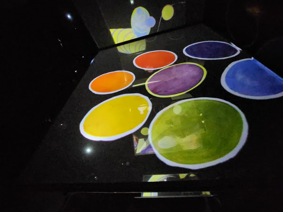 Frameless Gallery Image 68