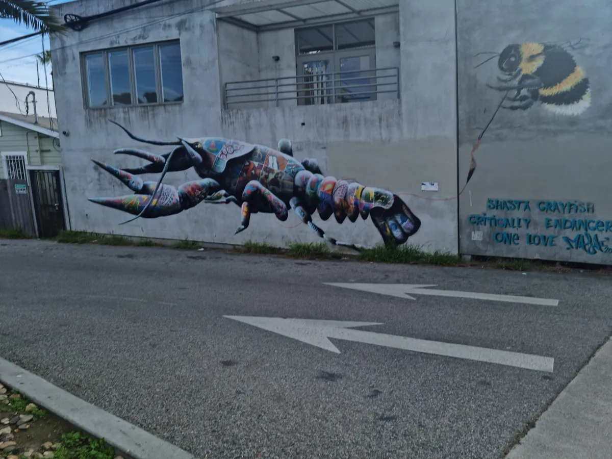 Graffiti Gallery Image 79