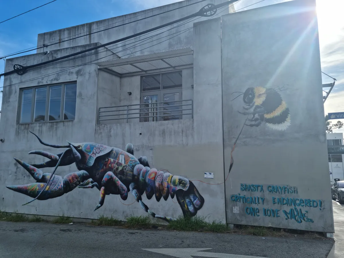 Graffiti Gallery Image 80