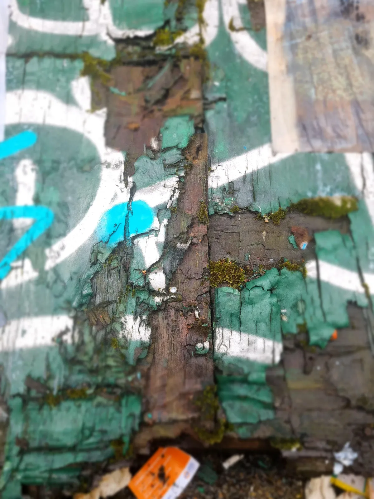 Graffiti Gallery Image 93