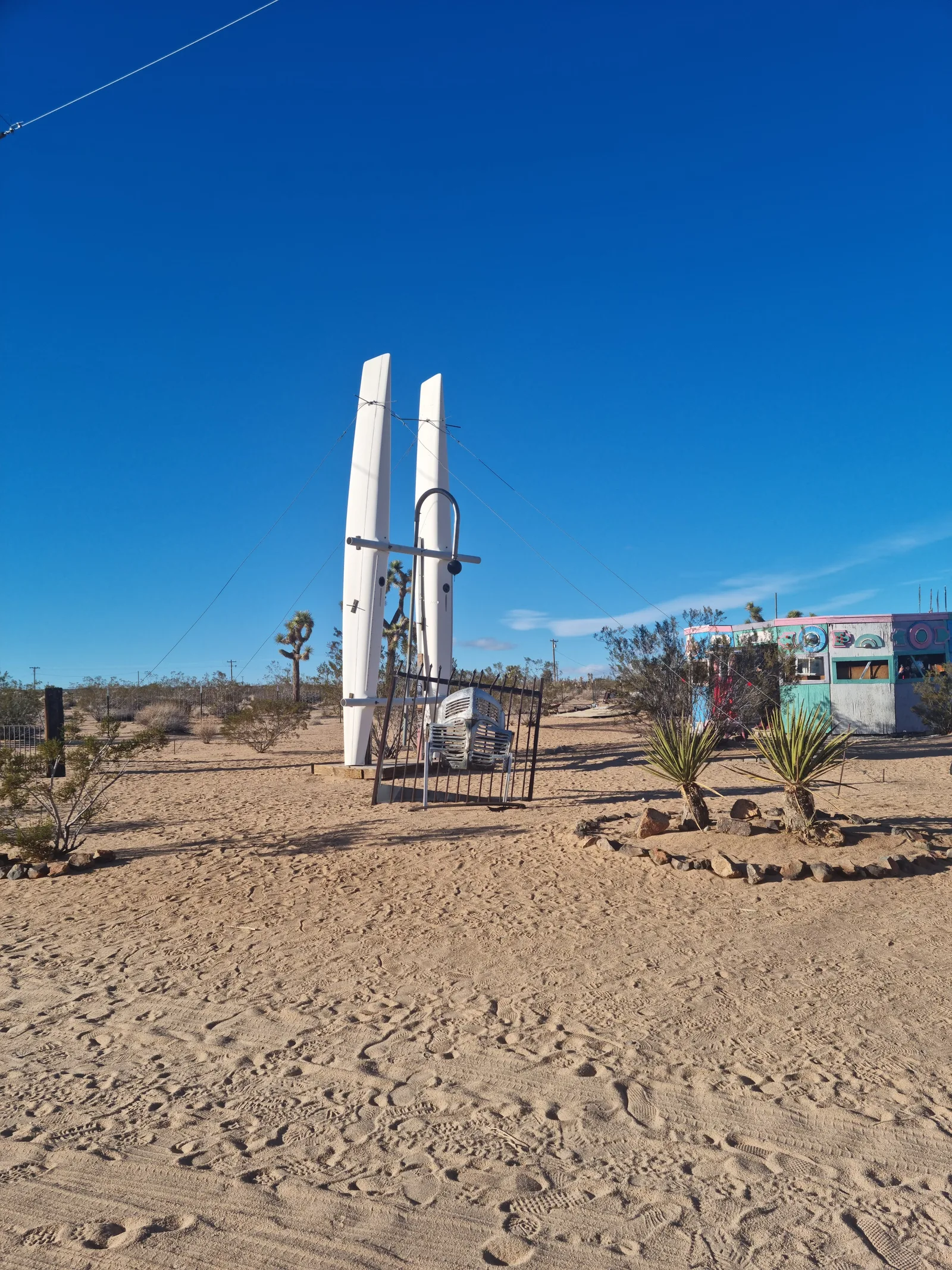 Joshua Tree Gallery Image 1