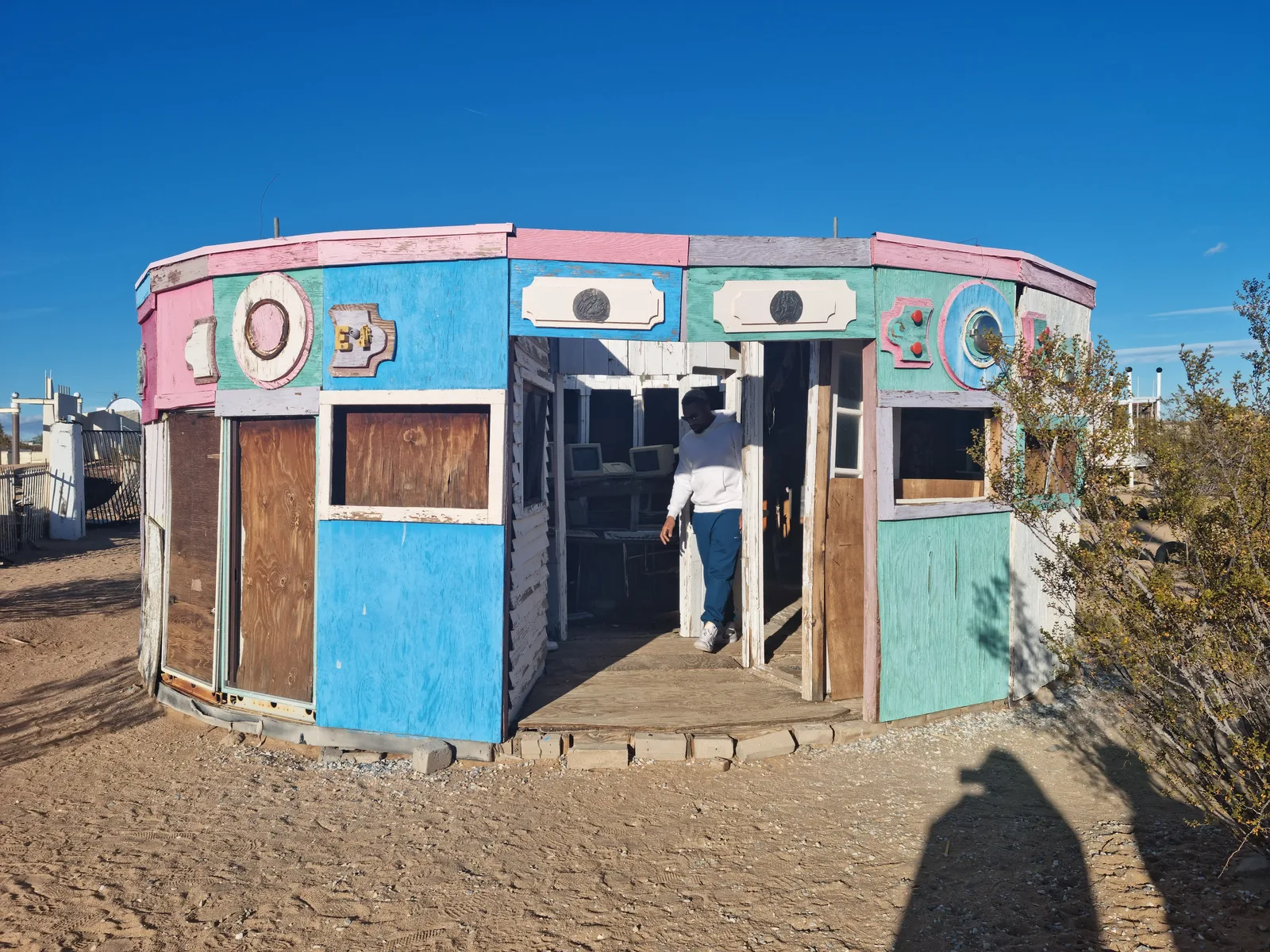 Joshua Tree Gallery Image 2
