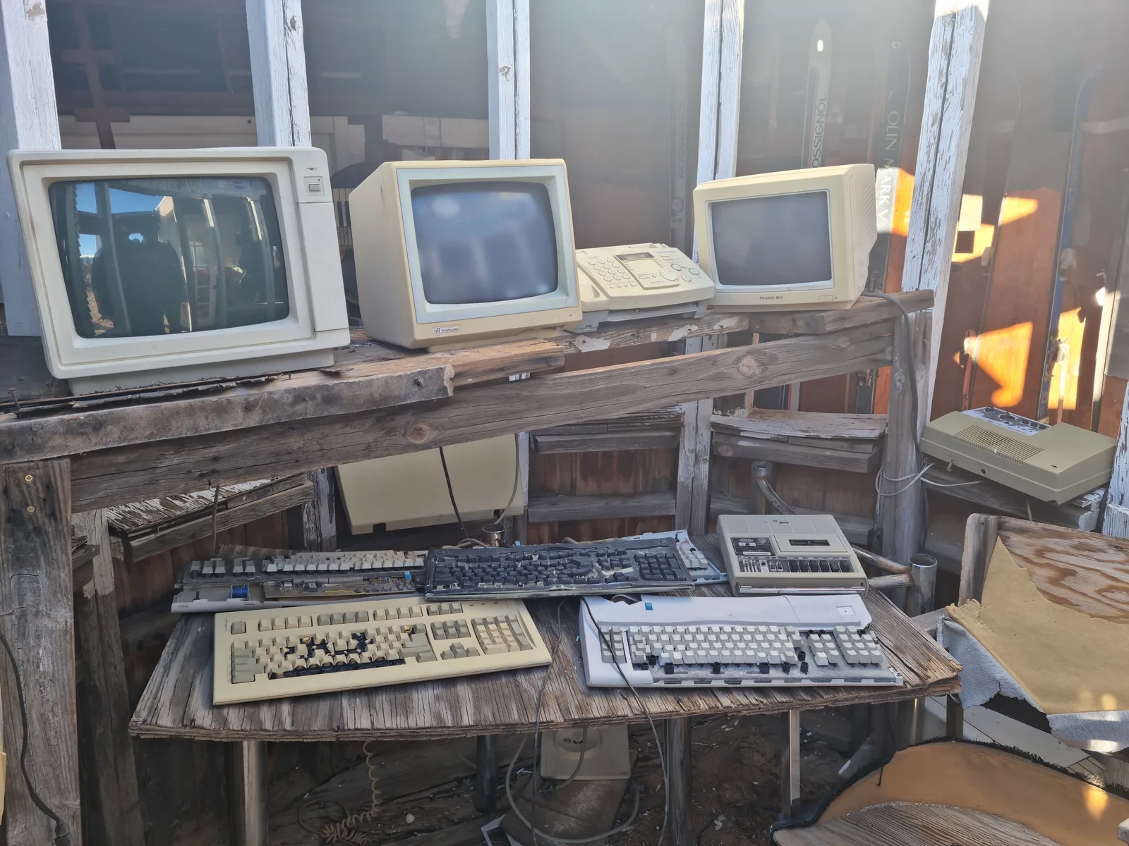 Joshua Tree Gallery Image 3