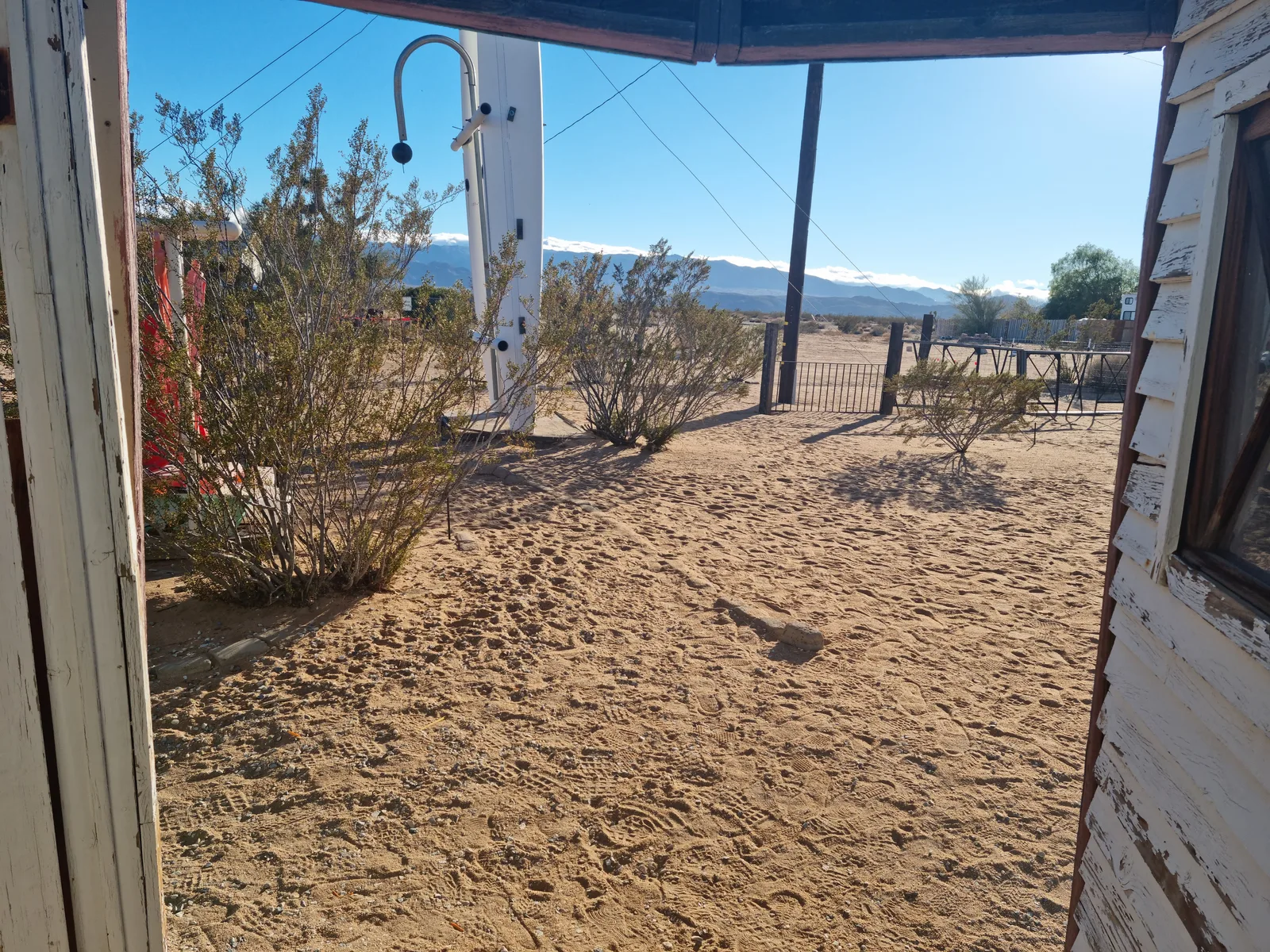 Joshua Tree Gallery Image 4