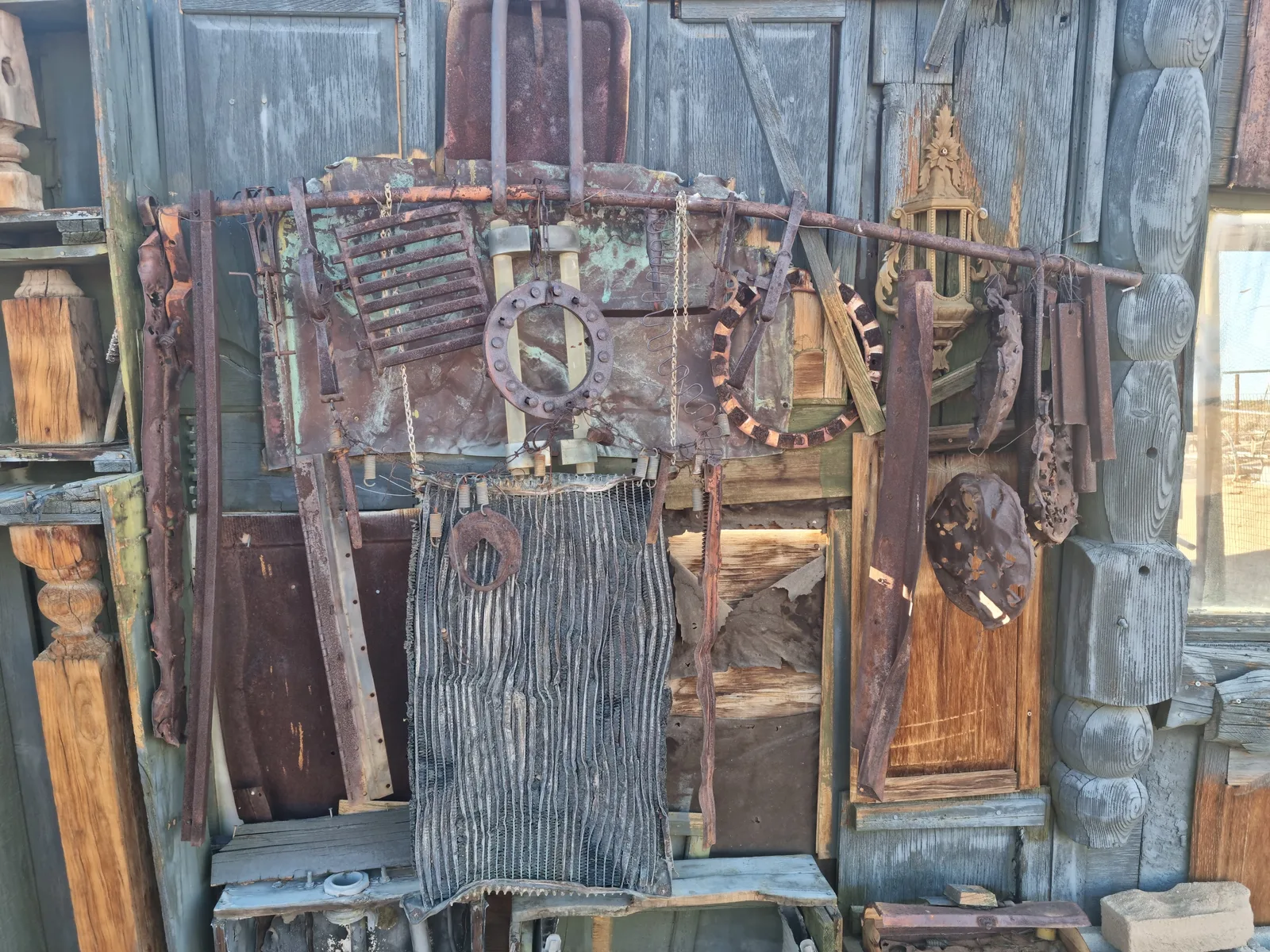 Joshua Tree Gallery Image 5