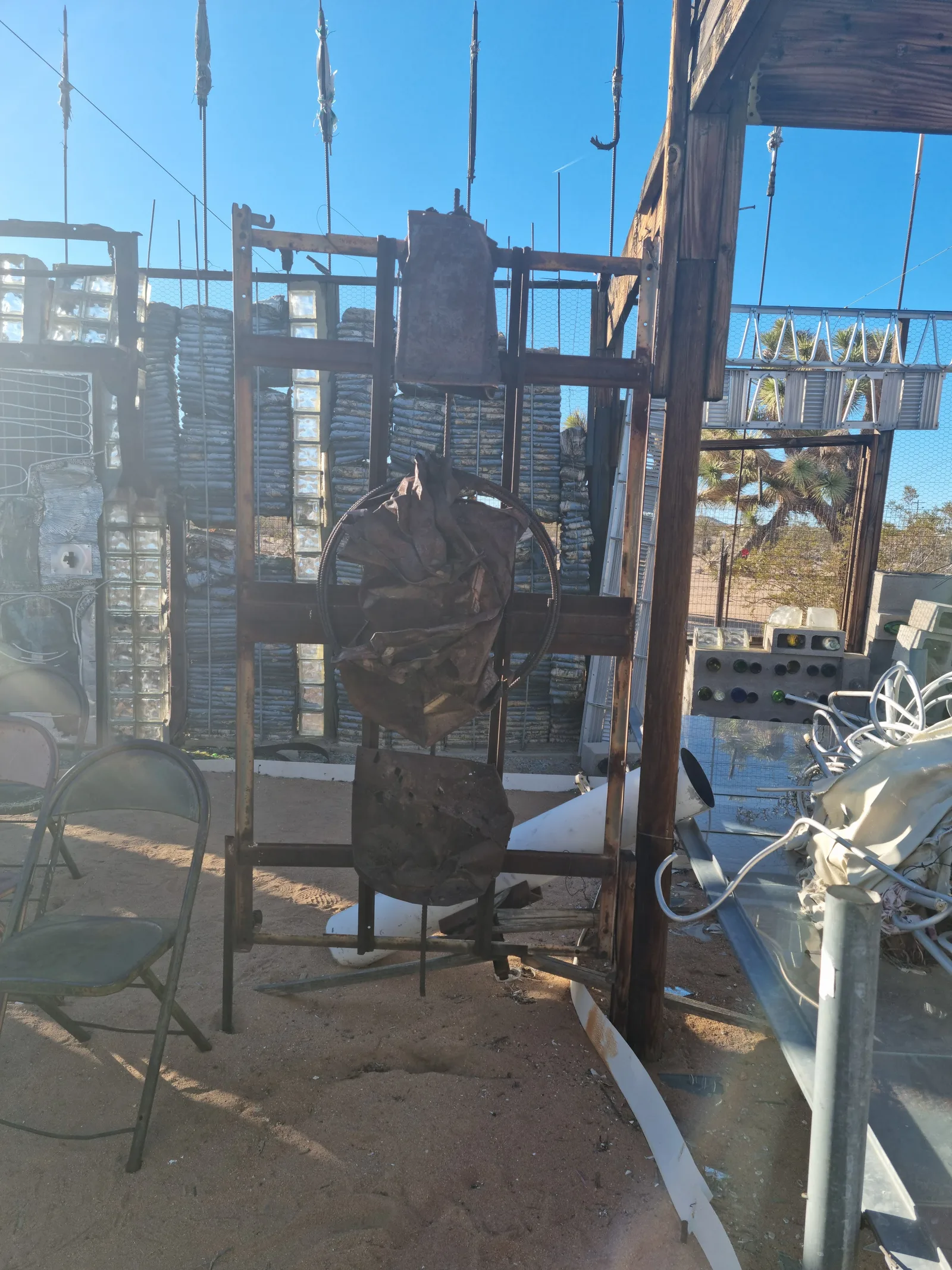 Joshua Tree Gallery Image 6
