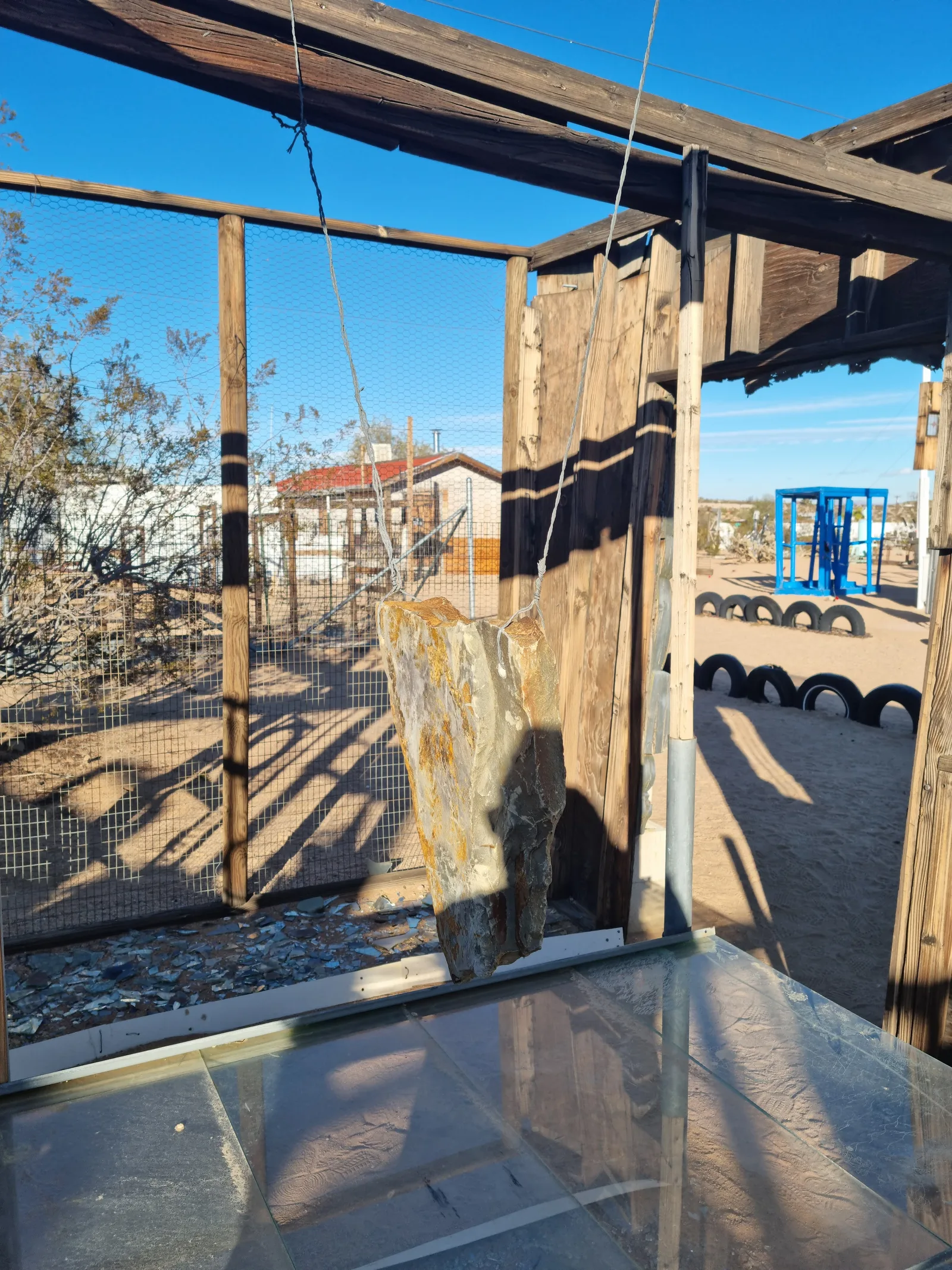 Joshua Tree Gallery Image 8