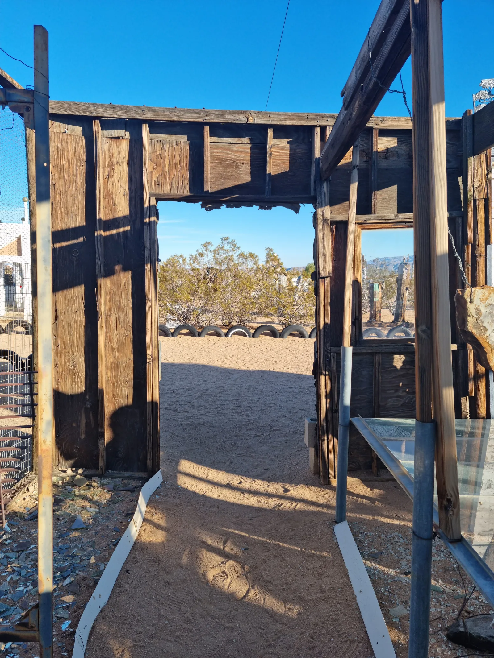 Joshua Tree Gallery Image 11