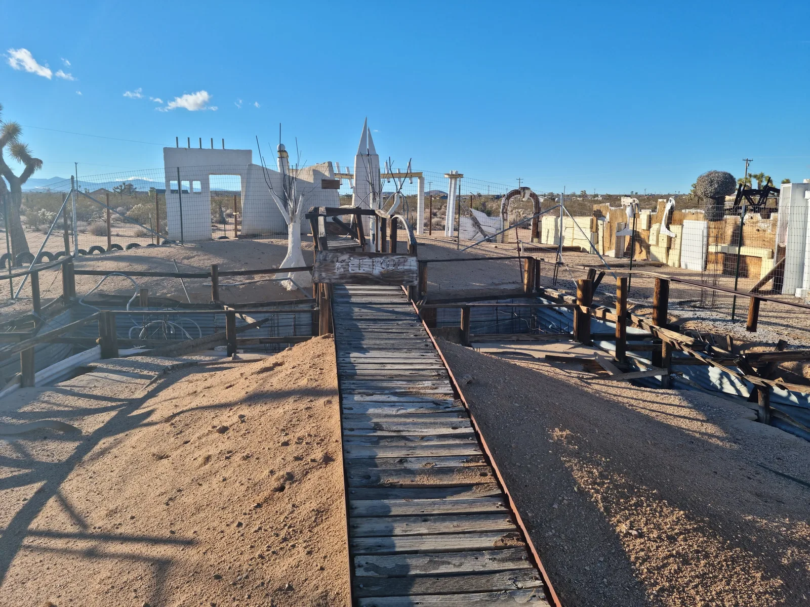Joshua Tree Gallery Image 12