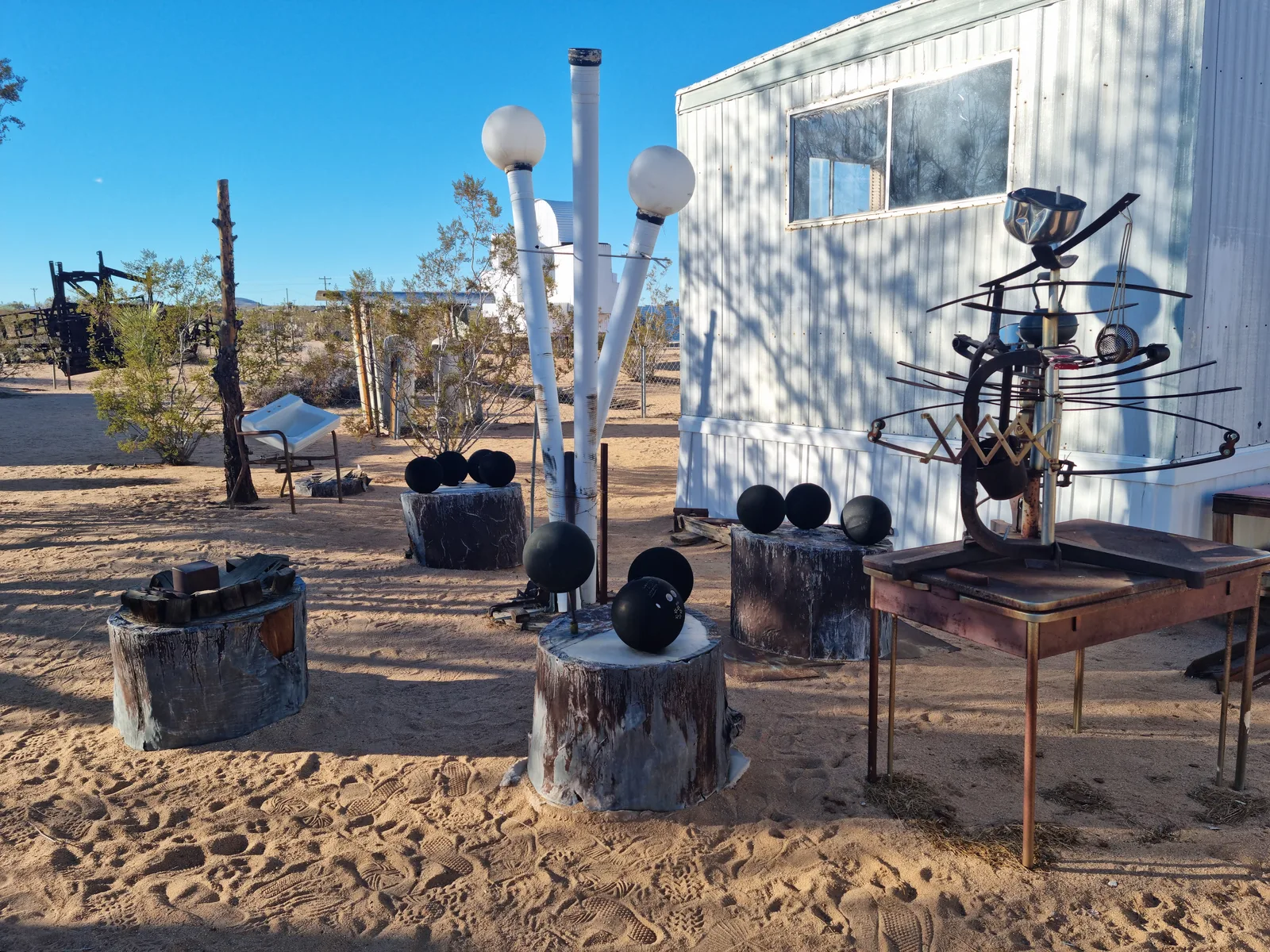 Joshua Tree Gallery Image 13