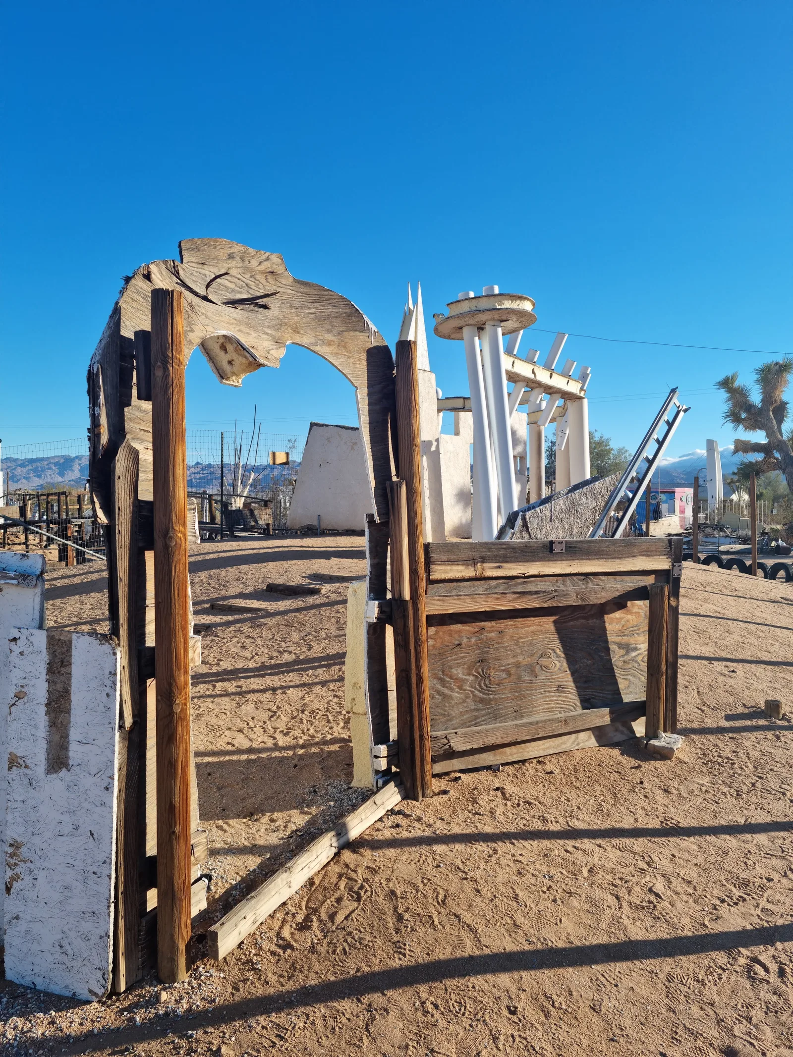 Joshua Tree Gallery Image 14