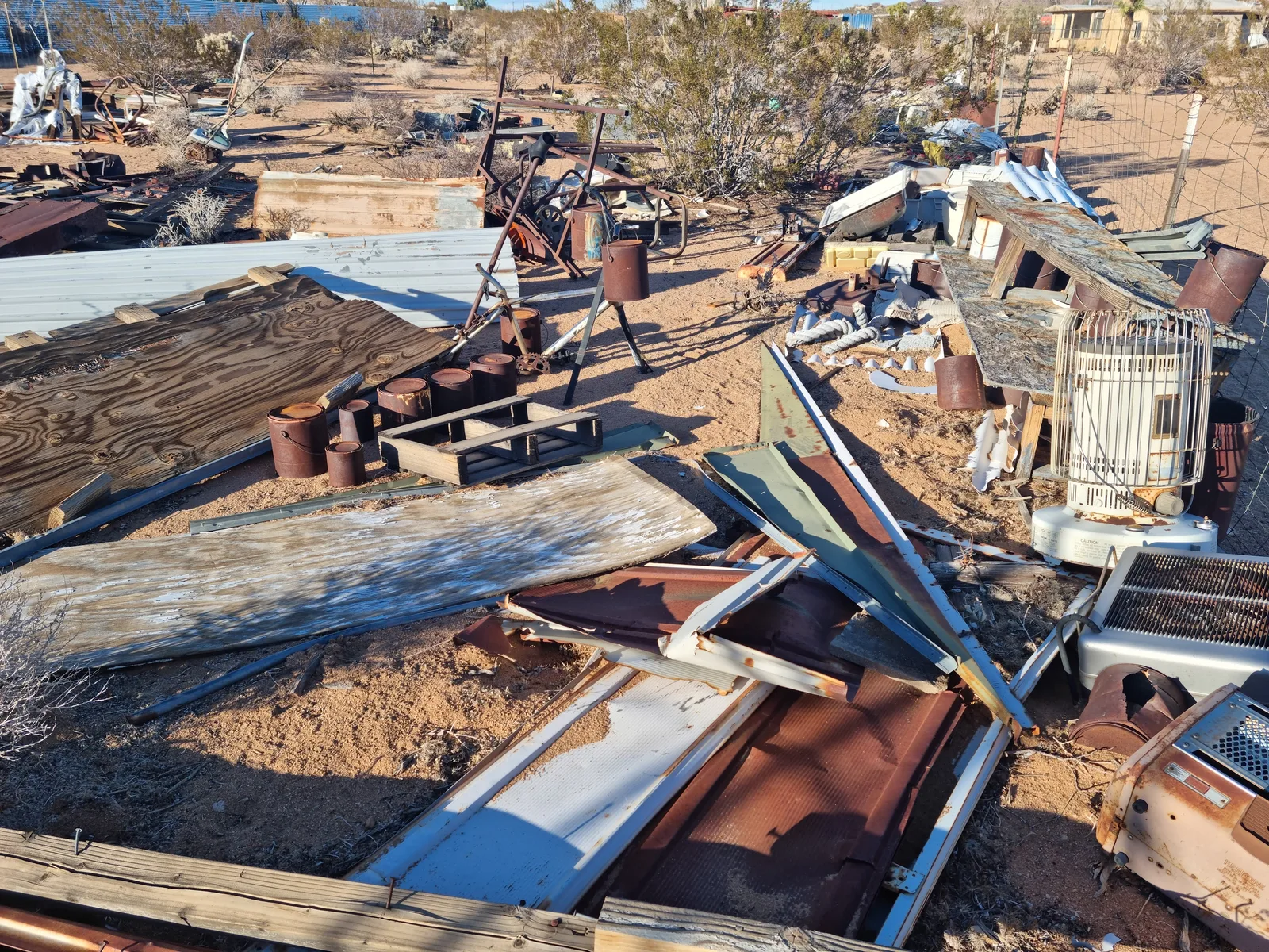 Joshua Tree Gallery Image 15