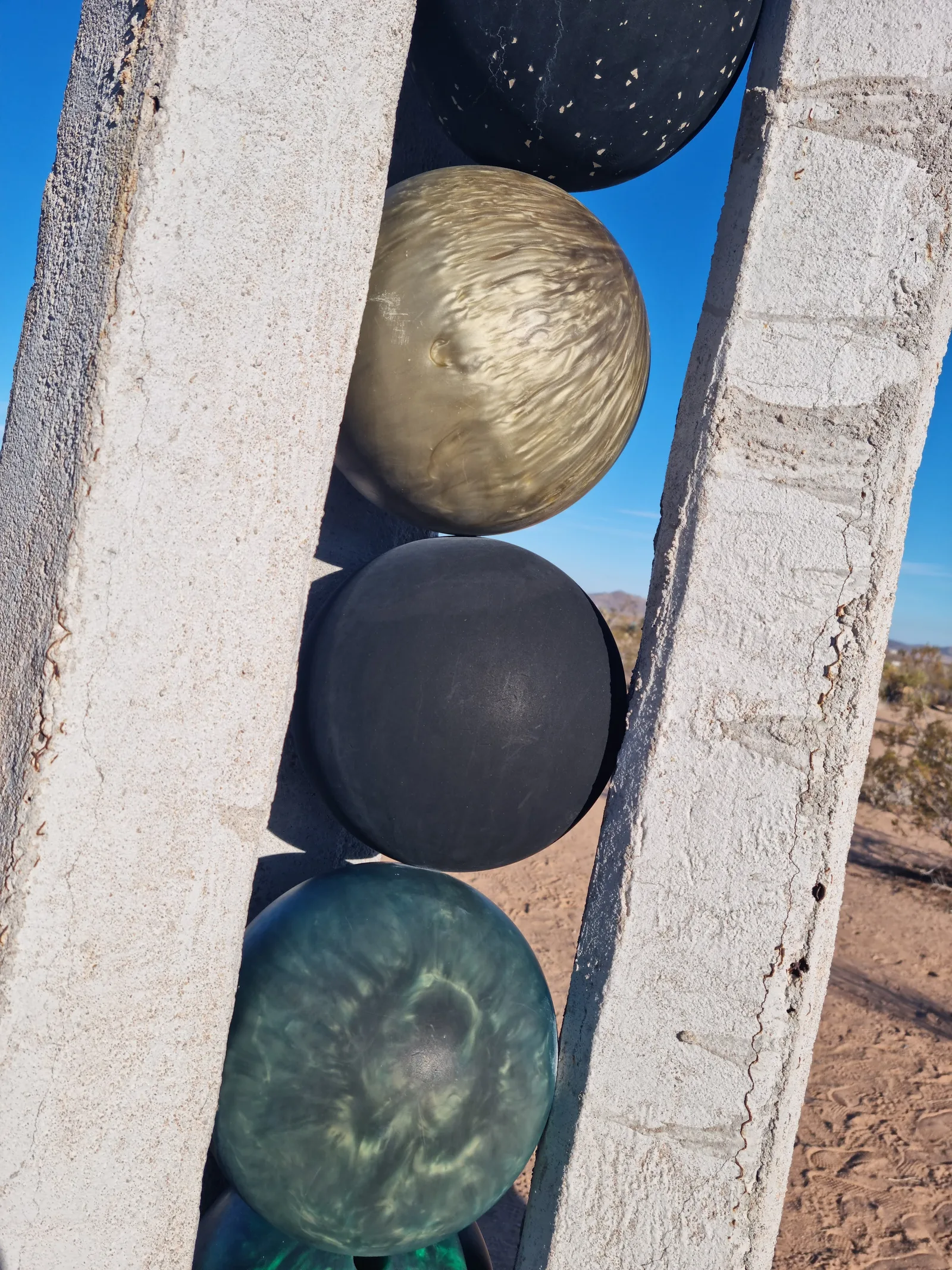 Joshua Tree Gallery Image 16