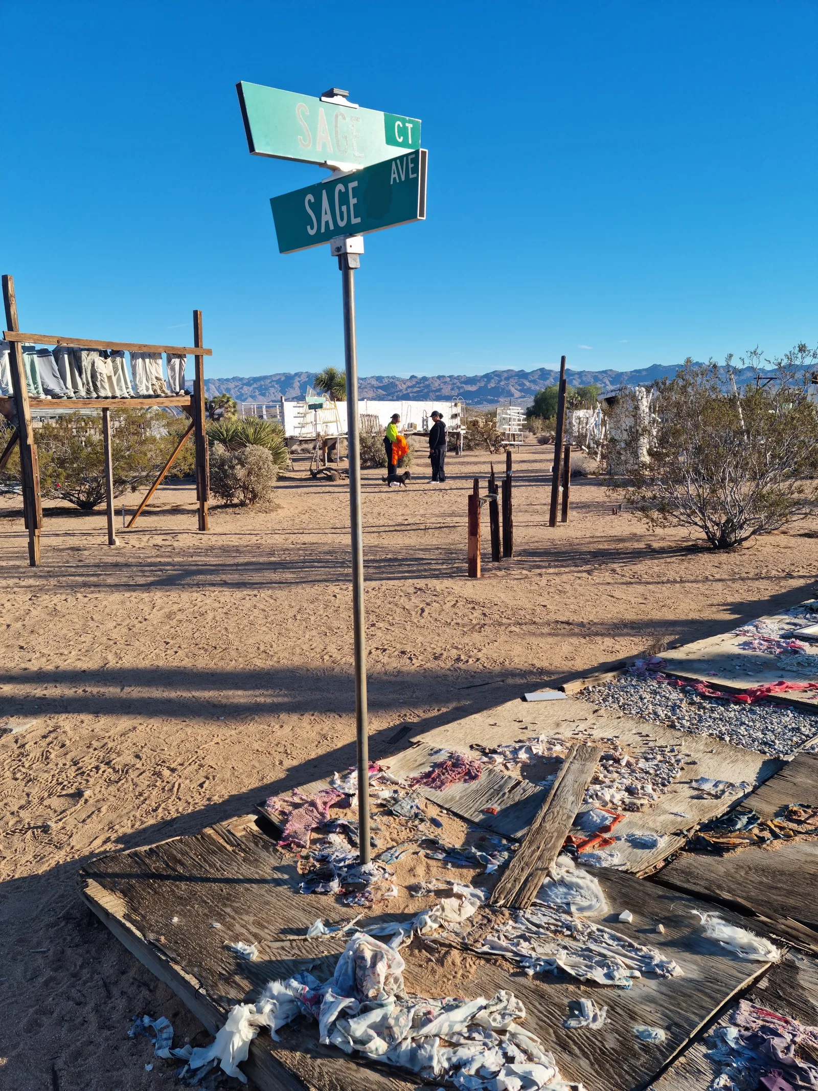 Joshua Tree Gallery Image 18