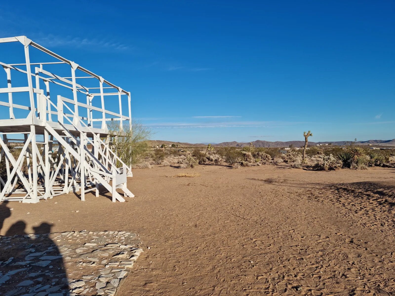 Joshua Tree Gallery Image 23