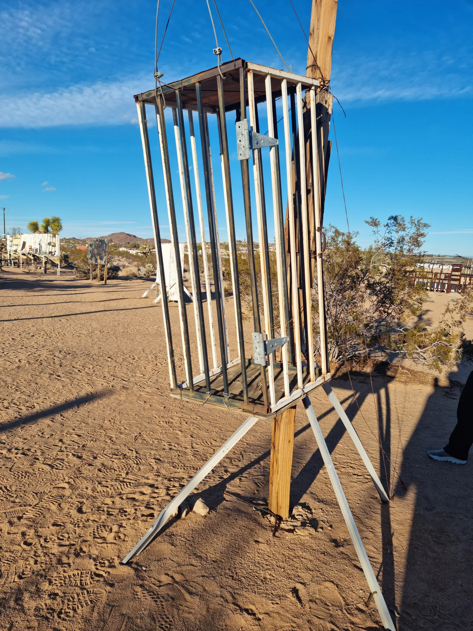 Joshua Tree Gallery Image 24