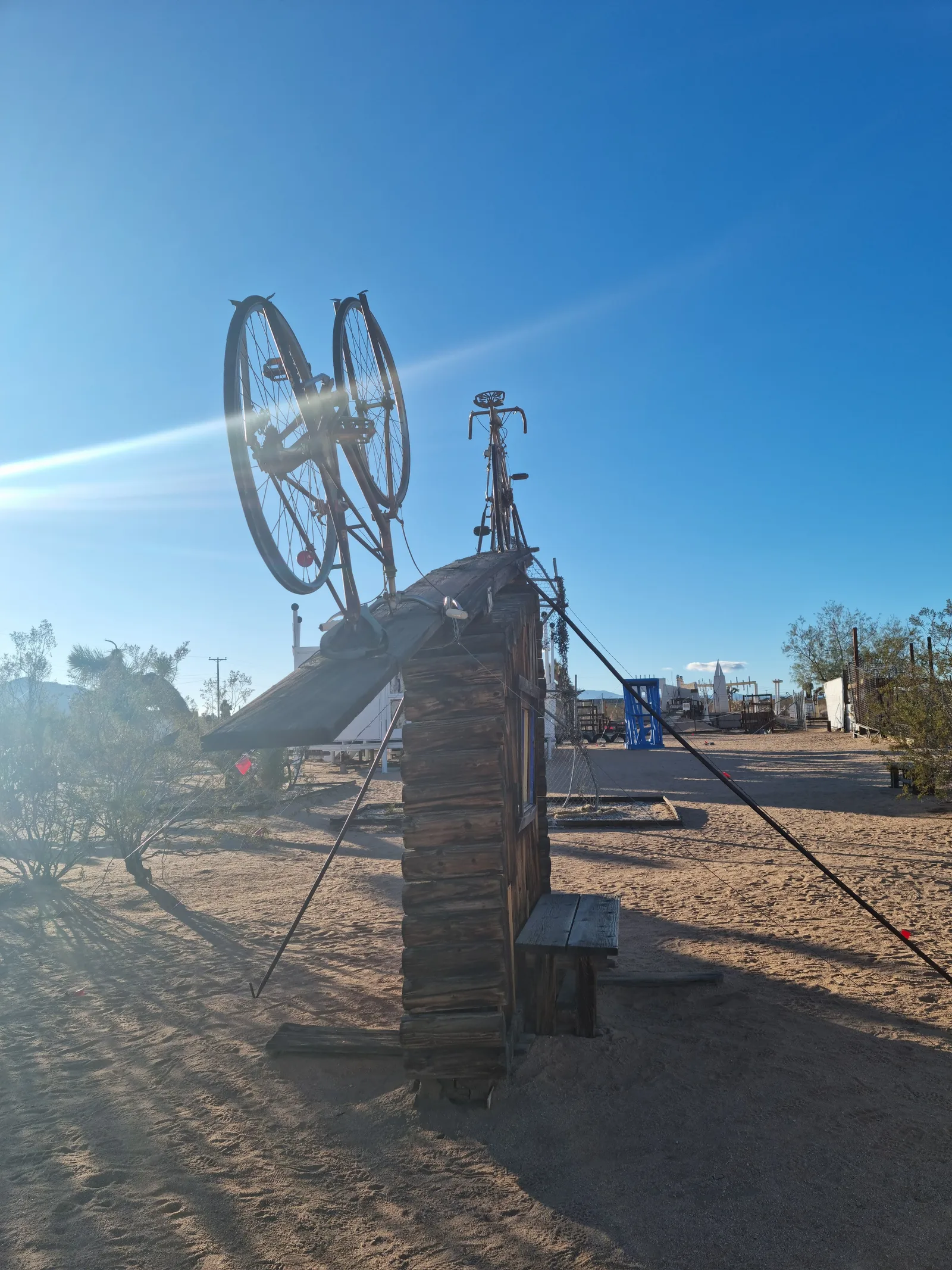 Joshua Tree Gallery Image 25