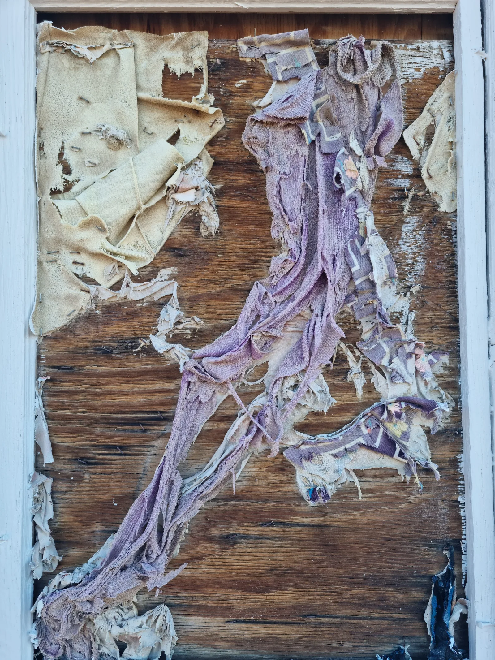 Joshua Tree Gallery Image 26