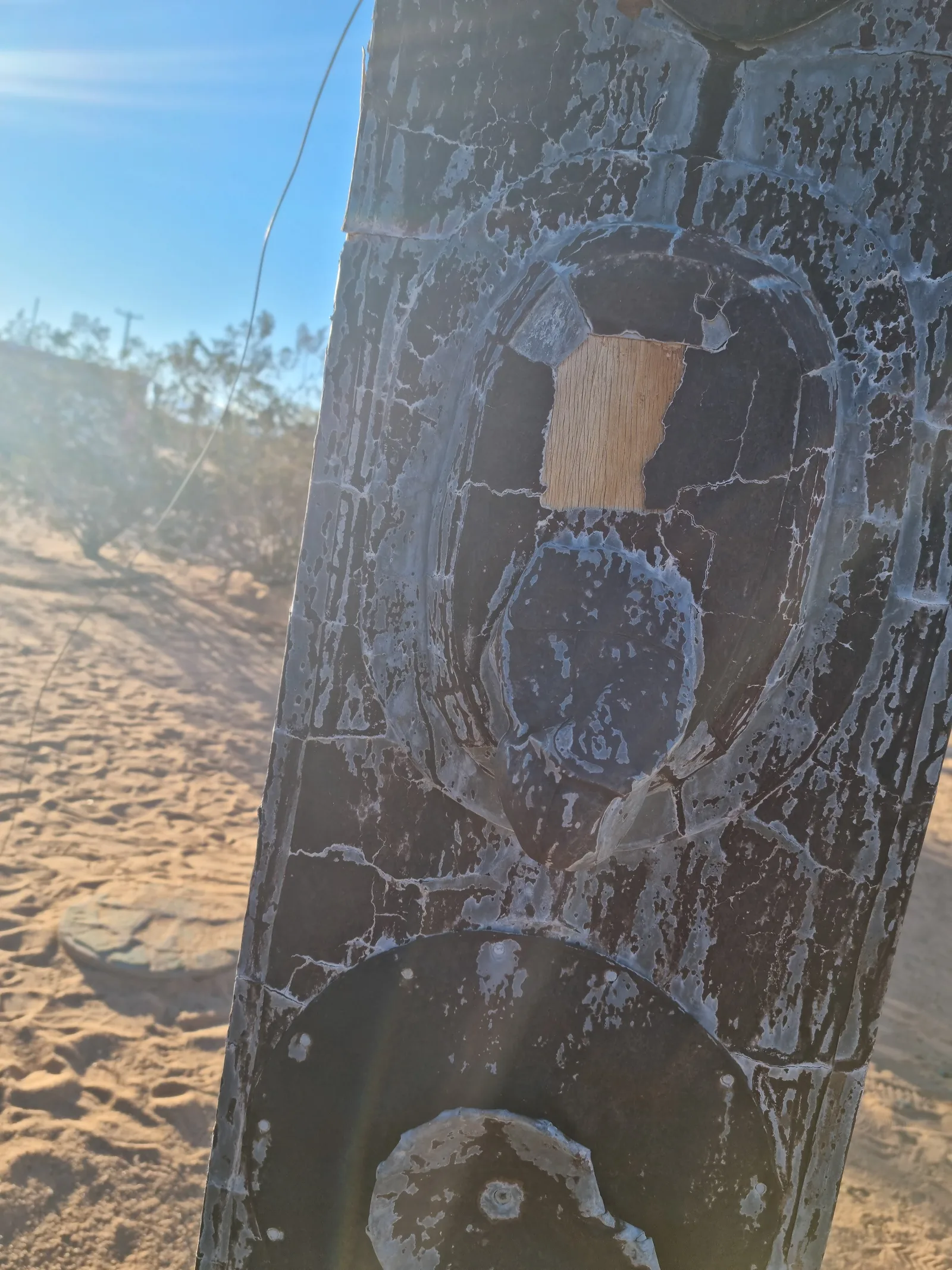 Joshua Tree Gallery Image 28