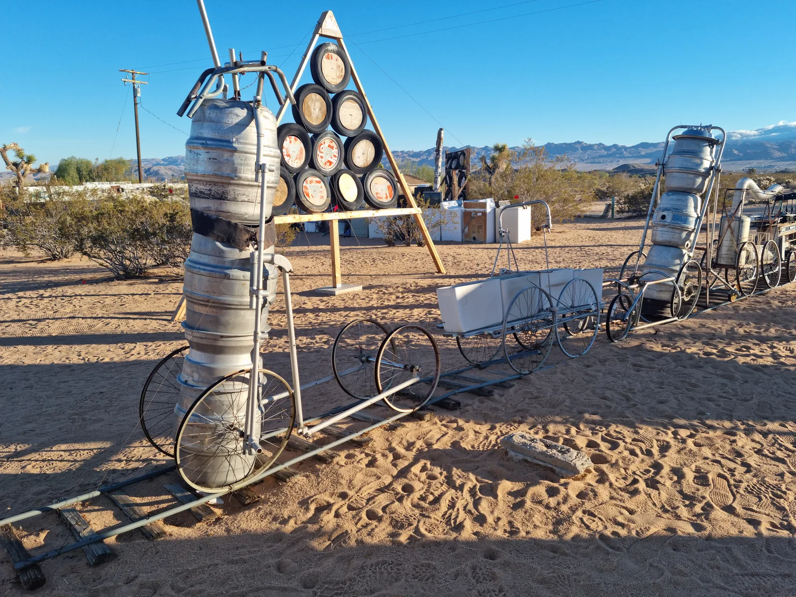 Joshua Tree Gallery Image 29